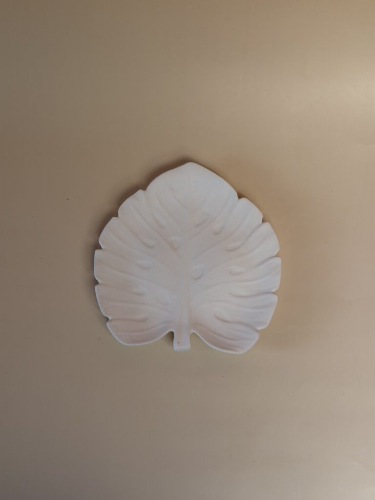 Taça Monstera